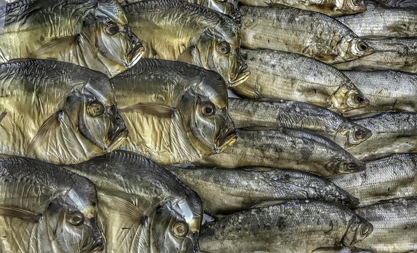 Does the Timing of Protein Intake Influence Muscle Recovery After Exercise?